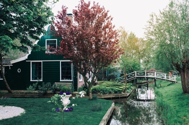 A green house beside a small pond, connected by a charming bridge surrounded by lush greenery